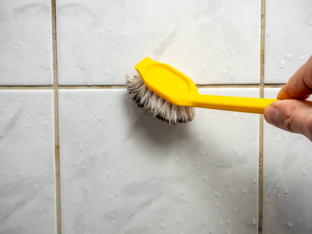 Best Toxic Mold Removal  in Absecon Highlands, NJ